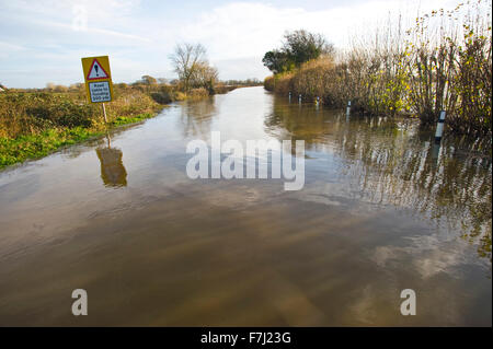 Letton, Herefordshire, Angleterre. 1er décembre 2015. UK : Météo route inondée à Letton Herefordshire avec entouré de terres agricoles inondées par la rivière Wye après éclater c'est les banques. Crédit : Jeff Morgan/Alamy Live News Banque D'Images