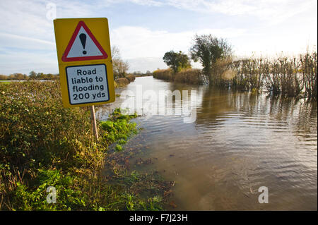 Letton, Herefordshire, Angleterre. 1er décembre 2015. UK : Météo route inondée à Letton Herefordshire avec entouré de terres agricoles inondées par la rivière Wye après éclater c'est les banques. Crédit : Jeff Morgan/Alamy Live News Banque D'Images