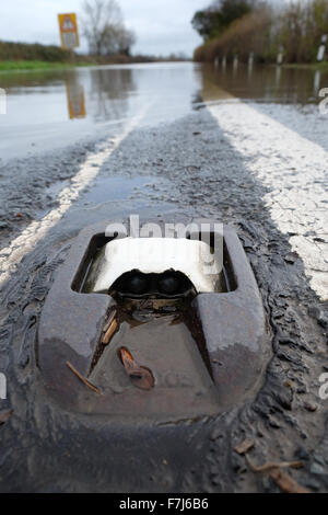 Letton, Herefordshire, Angleterre. 1er décembre 2015. La principale route entre438 UN Hereford et Hay-on-Wye est fermée en raison des inondations près de letton en raison d'inondations après la rivière Wye éclater ses banques locales inondations champs le long de la frontière entre l'Angleterre et au Pays de Galles. Banque D'Images