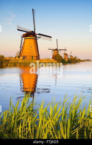 Moulins à vent de Kinderdijk - Hollande Pays-Bas Banque D'Images