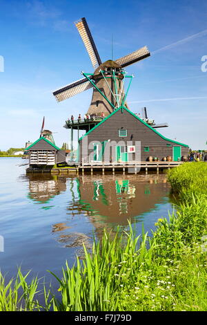 Les moulins à vent de Zaanse Schans - Hollande Pays-Bas Banque D'Images