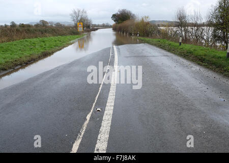 Près de letton, Herefordshire, Angleterre. 1er décembre 2015. La principale route entre438 UN Hereford et Hay-on-Wye est fermée en raison des inondations près de letton en raison d'inondations après la rivière Wye éclater ses banques locales inondations champs le long de la frontière entre l'Angleterre et au Pays de Galles. Banque D'Images