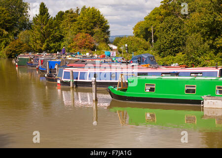 Bateaux étroits des bateaux étroits amarrés sur le canal Kennet et Avon, Devozes, Wiltshire, Angleterre, Royaume-Uni en août Banque D'Images