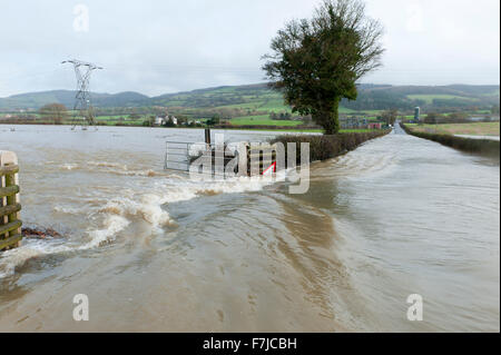 Welshpool, Powys, Pays de Galles, Royaume-Uni. 1er décembre, 2015. Météo : La rivière Severn éclate c'est banques à Welshpool et provoque une inondation. Credit : Graham M. Lawrence/Alamy Live News. Banque D'Images