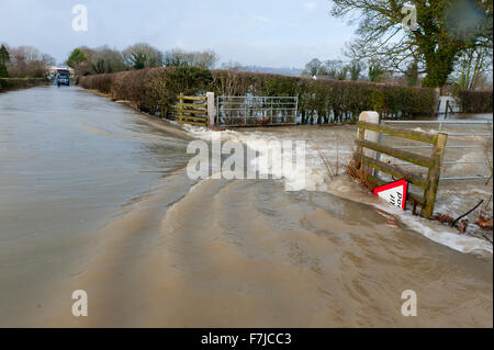 Welshpool, Powys, Pays de Galles, Royaume-Uni. 1er décembre, 2015. Météo : La rivière Severn éclate c'est banques à Welshpool et provoque une inondation. Credit : Graham M. Lawrence/Alamy Live News. Banque D'Images