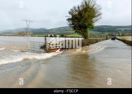 Welshpool, Powys, Pays de Galles, Royaume-Uni. 1er décembre, 2015. Météo : La rivière Severn éclate c'est banques à Welshpool et provoque une inondation. Credit : Graham M. Lawrence/Alamy Live News. Banque D'Images