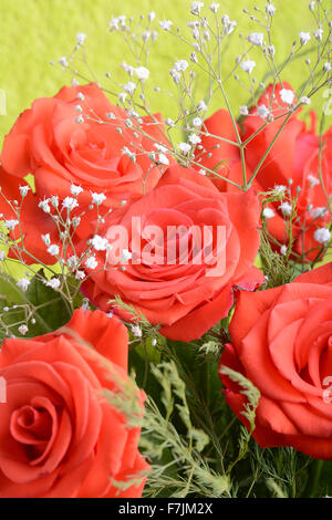 Bouquet de roses rouge foncé en fleurs dans un vase de fleurs, Close up Banque D'Images