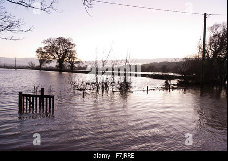 Welshpool, Powys, Pays de Galles, Royaume-Uni. 1er décembre, 2015. La rivière Severn éclate c'est banques à Welshpool et provoque une inondation. Credit : Graham M. Lawrence/Alamy Live News. Banque D'Images