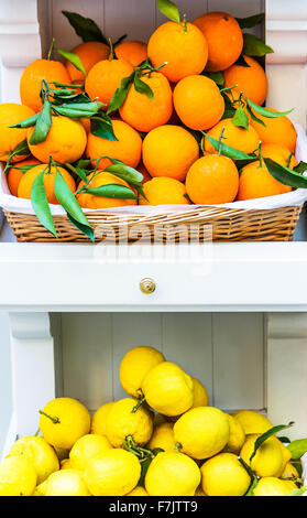 Oranges et citrons frais sur l'étagère Banque D'Images