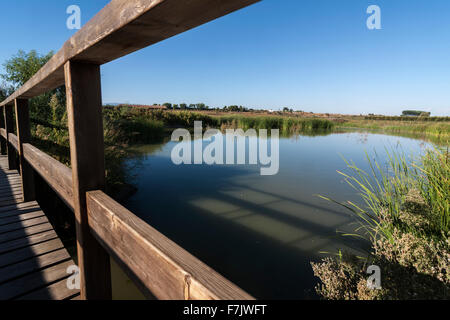 Estany (petit lac) d'Ivars d'Urgell. Banque D'Images