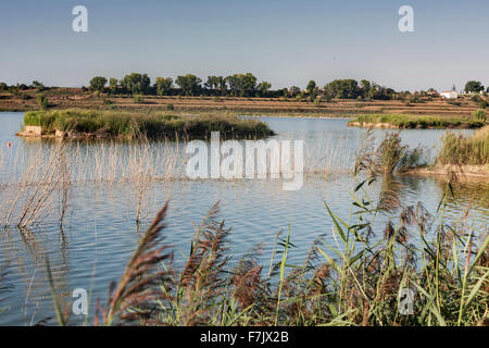 Estany (petit lac) d'Ivars d'Urgell. Banque D'Images