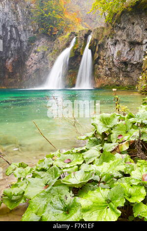 Le parc national des Lacs de Plitvice, Croatie, Europe Banque D'Images