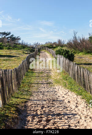 Sentier entre les barrières en bois sur les dunes de l'Atlantique en Bretagne, dans le nord-ouest de la France. Banque D'Images