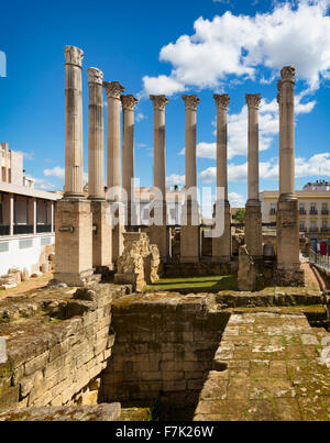 Cordoba, Cordoue, Andalousie, province du sud de l'Espagne. Les colonnes à chapiteaux corinthiens du 1er siècle après JC temple romain. Banque D'Images