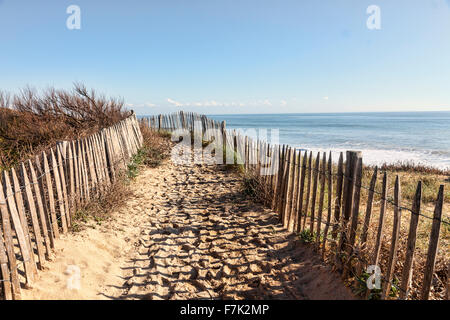 Sentier entre les barrières en bois sur les dunes de l'Atlantique en Bretagne, dans le nord-ouest de la France. Banque D'Images