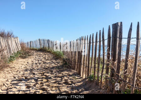 Sentier entre les barrières en bois sur les dunes de l'Atlantique en Bretagne, dans le nord-ouest de la France. Banque D'Images