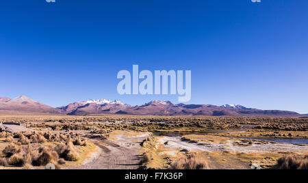 Paysage de toundra des hautes Andes dans les montagnes des Andes. Météo La Puna hauts plateaux andins de l'écorégion des prairies, montan Banque D'Images