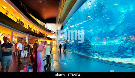 L'aquarium de Dubai Mall, Dubai, Émirats arabes unis, Moyen Orient Banque D'Images