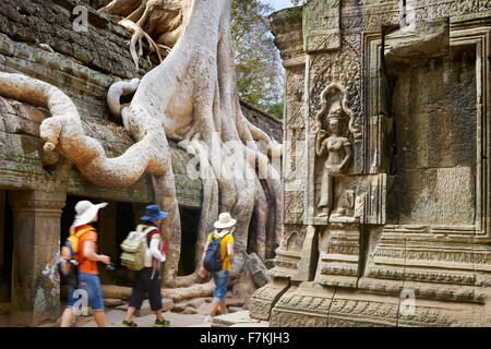 Ta Prohm Temple près de Angkor Wat, Angkor, Siem Reap, Cambodge, Asie Banque D'Images