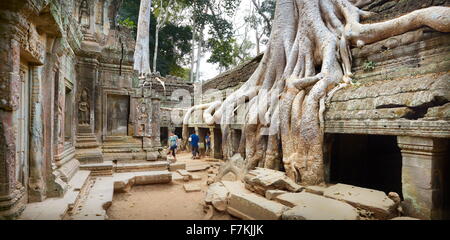Les touristes à explorer les ruines du Temple Ta Prohm, Angkor, Cambodge, Asie Banque D'Images