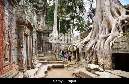 Racines d'un arbre géant de la ruines également mangeuses Ta Prohm Temple, Angkor, Cambodge, Asie Banque D'Images