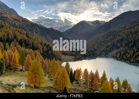 Val en automne Martello Banque D'Images