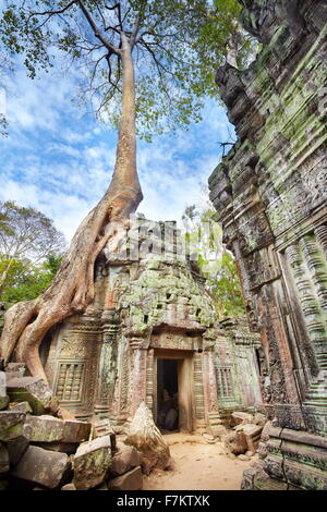 Les ruines de Ta Prohm Temple, Angkor, Cambodge, Asie Banque D'Images