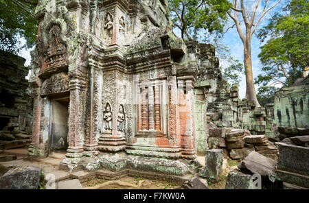 Ta Prohm Temple, Angkor, Cambodge, Asie Banque D'Images