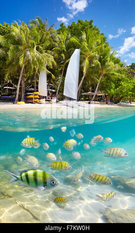 Plage de la Thaïlande et sous-marin sur la mer avec des poissons, l'Île de Ko Samet, Thailande, Asie Banque D'Images
