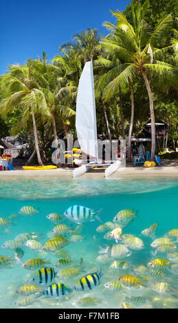 Thaïlande - plage tropicale de l'Île de Ko Samet avec vue sous-marine, la Thaïlande, l'Asie Banque D'Images