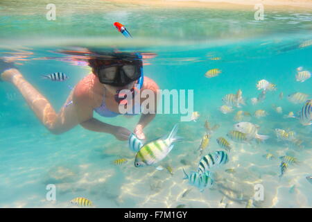 Sur la mer sous-marine, plongée avec tuba femme et le poisson, l'Île de Ko Samet, Thailande, Asie Banque D'Images