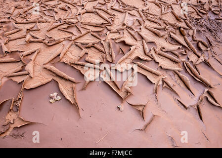 Le séchage du sable dans le lit du cours d'un canyon dans l'Utah, Cedar Mesa. Banque D'Images