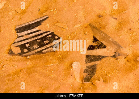 Tessons de pot puebloan ancestrales, Grand Gulch Zone Primitive, de l'Utah. Banque D'Images