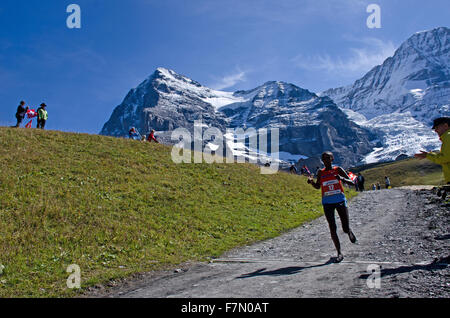 Approche de Runner avec Kleine Scheidegg Mtns. Eiger et le Mönch, ligne d'arrivée durant 2015 Jungfrau Marathon race de j Banque D'Images