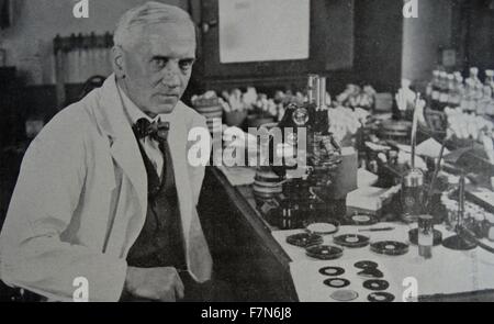 Sir Alexander Fleming (1881-1955) qui a découvert la pénicilline, à l'œuvre dans son laboratoire de l'Hôpital St. Mary, Paddington, Londres. Banque D'Images