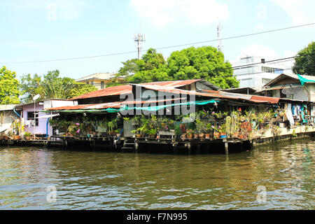 Maisons en bois le long des canaux en Thaïlande Banque D'Images