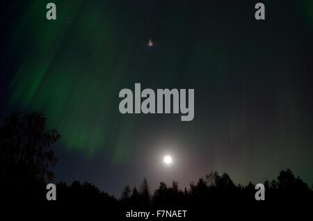 Aurore boréale danser plus de forêt sur une pleine lune nuit d'automne Banque D'Images