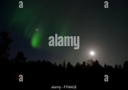 Aurore boréale danser plus de forêt sur une pleine lune nuit d'automne Banque D'Images