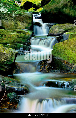 L'Allemagne, la Bavière : Creek qui traverse le canal en Steinklamm Spiegelau Banque D'Images