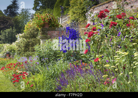 La floraison des fleurs dans une frontière d'été sur la terrasse de l'Orangerie, Château de Powis et jardin, Powys, Pays de Galles, en juillet. Banque D'Images