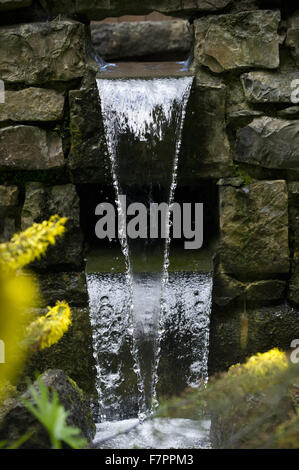 Une pièce d'eau dans les jardins de Plas Newydd Country House and Gardens, Anglesey, Pays de Galles. Ce beau manoir du xviiie siècle se trouve sur les rives du détroit de Menai l, avec des vues à couper le souffle de Snowdonia. Banque D'Images