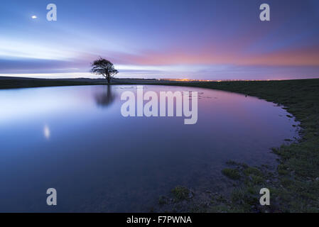 Étang de rosée près de Ditchling Beacon, East Sussex, de nuit, avec la lune dans l'eau, et les lumières de la ville à l'horizon rougeoyant. Banque D'Images