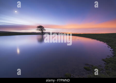 Étang de rosée près de Ditchling Beacon, East Sussex, de nuit, avec la lune dans l'eau, et les lumières de la ville à l'horizon rougeoyant. Banque D'Images