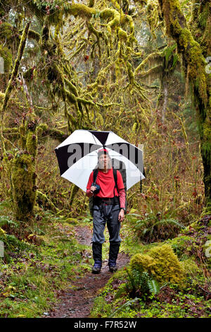 WASHINGTON - Un goût la position à travers les forêts pluviales tempérées le long du sentier de la rivière Hoh dans le Parc National Olympique avec un parapluie Banque D'Images