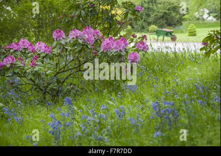 Les jardins au printemps à Rufford Old Hall, Lancashire. Rufford Old Hall est de plus de 500 ans, et les jardins sont de style victorien. Banque D'Images