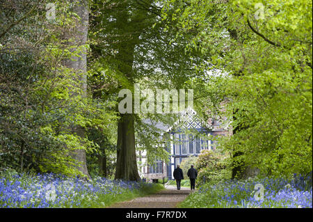 Les jardins au printemps à Rufford Old Hall, Lancashire. Rufford Old Hall est de plus de 500 ans, et les jardins sont de style victorien. Banque D'Images