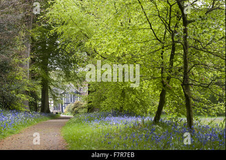 Les jardins au printemps à Rufford Old Hall, Lancashire. Rufford Old Hall est de plus de 500 ans, et les jardins sont de style victorien. Banque D'Images