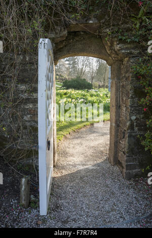 Voir par une porte à un pré de jonquilles naturalisées en mars à Cotehele, Cornwall. Banque D'Images