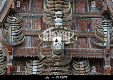 Cornes de buffle à maisons traditionnelles à Tana Toraja, Sulawesi, Indonésie Banque D'Images