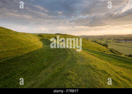 Hambledon Hill, Dorset. La colline est un hill fort préhistorique et réserve naturelle nationale, situé dans la vallée de Blackmore, près de Blandford Forum. Banque D'Images